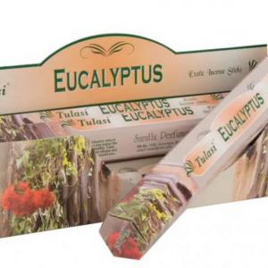 Füstölő eukaliptusz