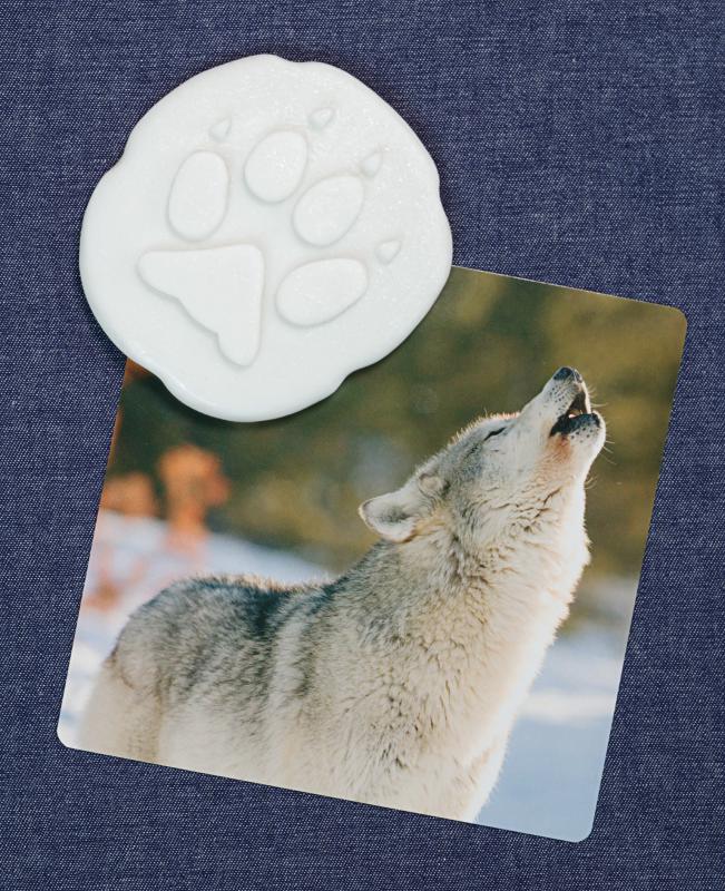 Agyagbélyegzők - Sarkvidéki állatok és lábnyomaik