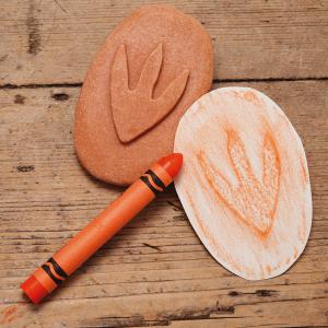 Agyagbélyegző kövek - Dinoszauruszok és lábnyomaik