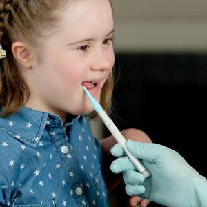 ARK Vékony Hegy eszközvég