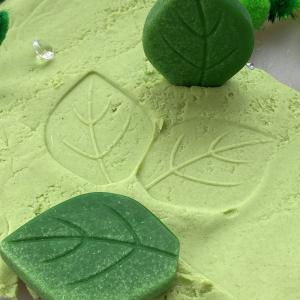 Erdő Szenzoros Kövek