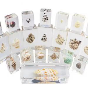 Gyantakocka természeti kincsekkel szettben