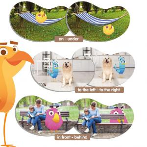 Madarak Memóriakártya - Térbeli tájékozódás