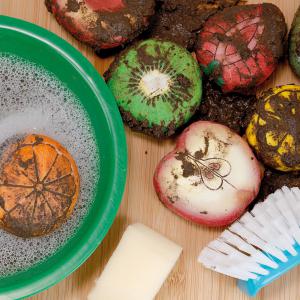 Szenzoros Kövek - Gyümölcsök