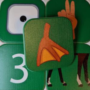 YOLI játékkészlet