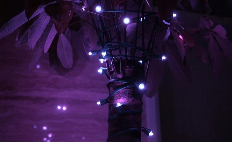 Interaktív Égősor