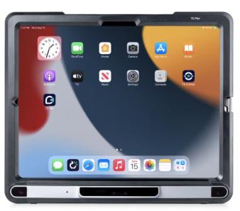 TD Pilot with TD Talk and TD Snap