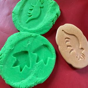 Agyagbélyegző kövek - Dinoszauruszok és lábnyomaik