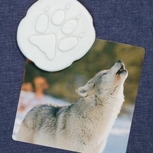 Agyagbélyegzők - Sarkvidéki állatok és lábnyomaik