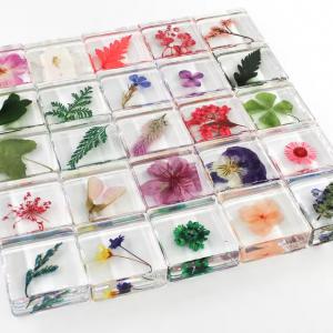 Gyantakocka természeti kincsekkel szettben