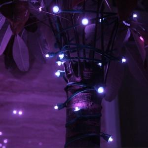 Interaktív Égősor