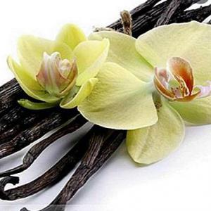 Vanillin  250 g. 99 %-os Vanillinum. Vanillia