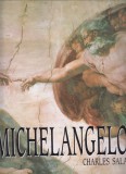Charles Sala : Michelangelo