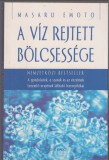 Masaru Emoto  : A víz rejtett bölcsessége
