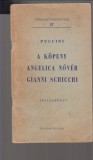 Puccini : A köpeny - Angelica nővér - Gianni Schicchi