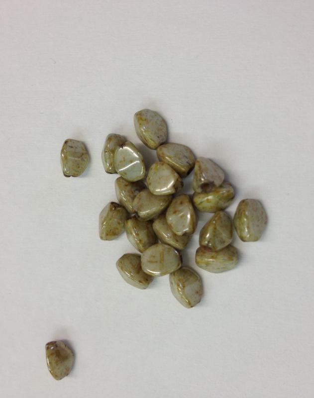 White Pistachio pinch gyöngy