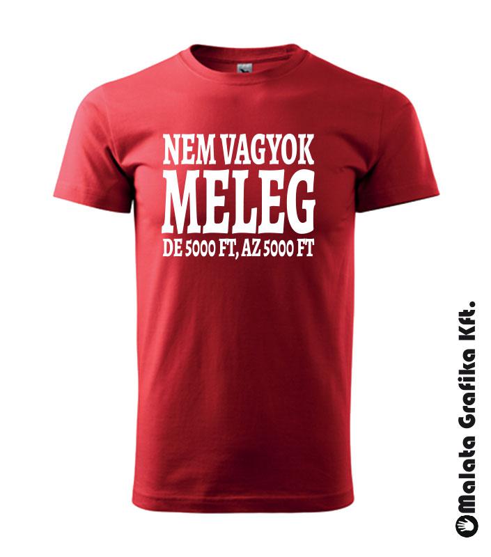 Nem vagyok meleg póló