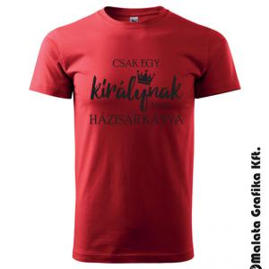 Házisárkány páros póló