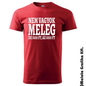 Nem vagyok meleg póló