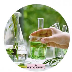 Fejbőr és Hajgyógyászat