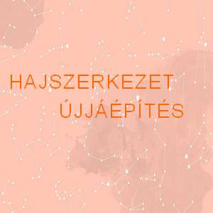 Hajszerkezet újjáépítés