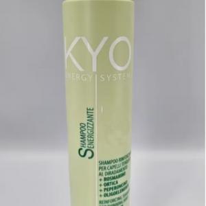 KYO Energy Ampullák 12X10 ml