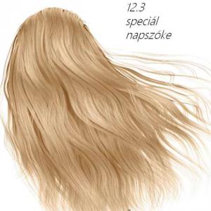 12.3 Magiolor hajfesték A B3 és C vitaminokkal 100 ml