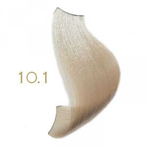 KYO Majime' 10.1