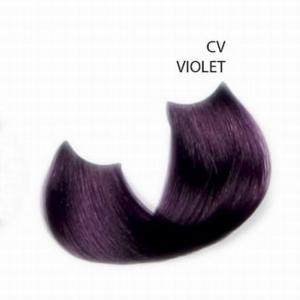 Violet CV - Magicrazy