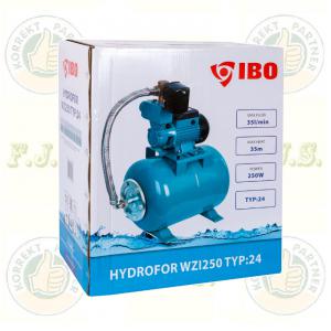 hidrofor WZ 250 24l Házi vízmű, ingyen szállítva