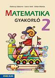 MS-1664U Matematika gyakorló 2. osztály