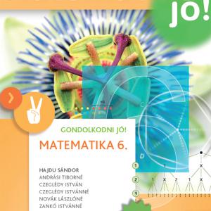 NT-4198-8/UJ-K (MK-4198-8/UJ-K) Matematika 6. GONDOLKODNI JÓ! tankönyv