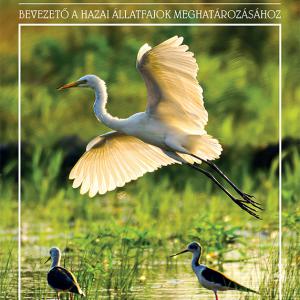 OH-BIO512GYA Állatismeret - Bevezető a hazai állatfajok meghatározásához