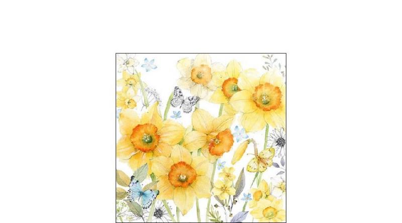 AMB.12512690 Classic Daffodils papírszalvéta 25x25cm,20db-os