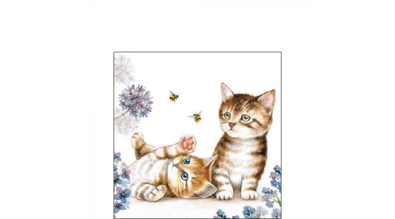 AMB.12512885 Cats and Bees papírszalvéta 25x25cm,20db-os, cicás szalvéta