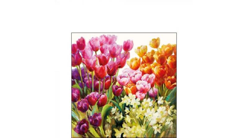 AMB.12514960 Tulips papírszalvéta 25x25cm, 20db-os