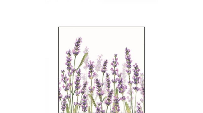 AMB.12515985 Lavender Shades white papírszalvéta 25x25cm,20db-os, levendula mintás