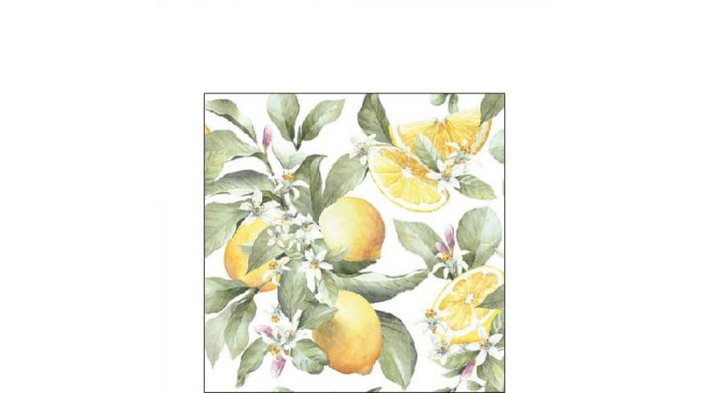 AMB.12516065 Limoni papírszalvéta 25x25cm,20db-os