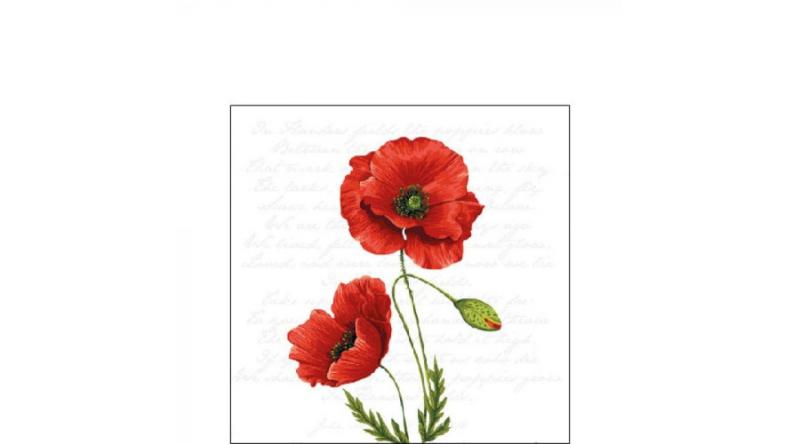 AMB.12516120 Proud Poppy papírszalvéta 25x25cm, 20db-os