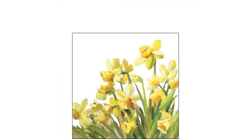 AMB.12516195 Golden Daffodils papírszalvéta 25x25cm, 20db-os