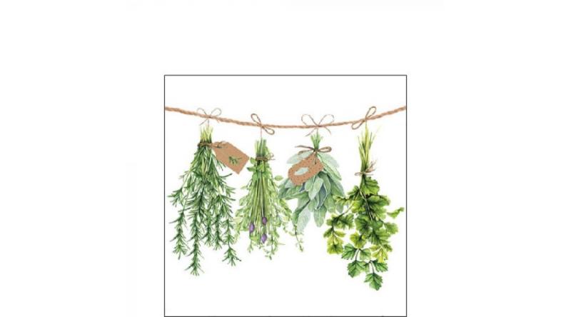 AMB.12516285 Fresh Herbs papírszalvéta 25x25cm,20db-os