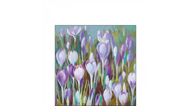 AMB.12517005 Crocus papírszalvéta 25x25cm,20db-os