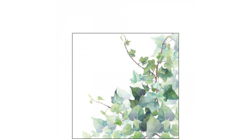 AMB.12517025 Hedera White papírszalvéta 25x25cm,20db-os, borostyán