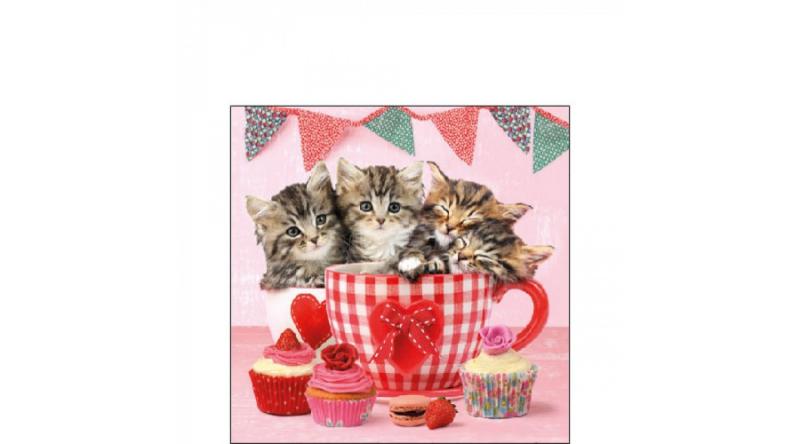 AMB.12517535 Cats In Tea Cups papírszalvéta 25x25cm,20db-os