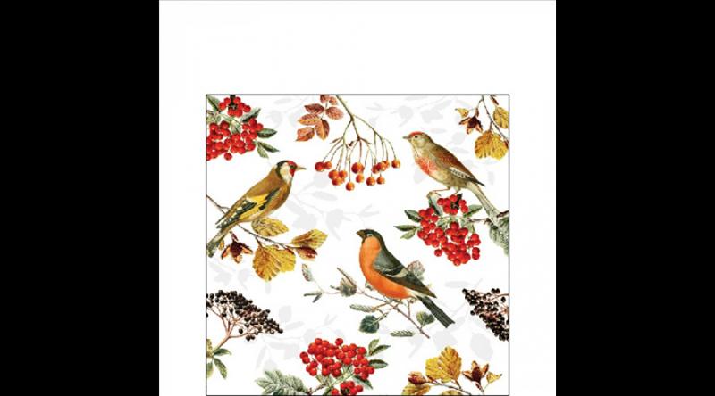 AMB.12517730 Autumn birds papírszalvéta 25x25cm,20db-os