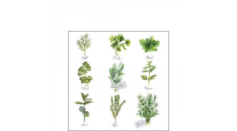 AMB.12518560 Herb selection papírszalvéta 25x25cm, 20db-os