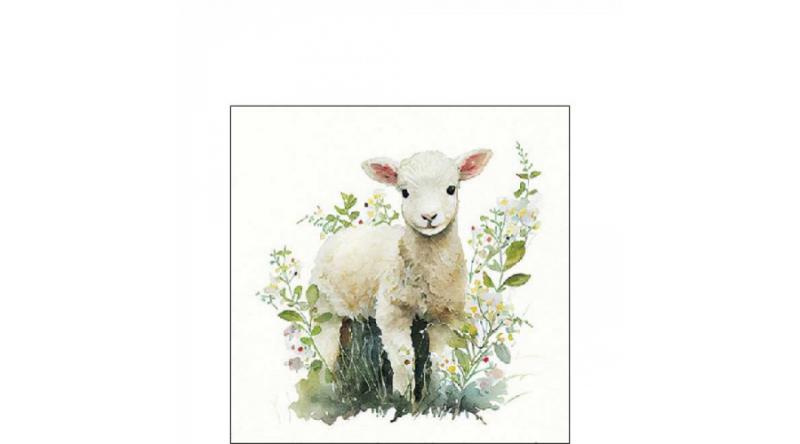 AMB.12518580 Lamb papírszalvéta 25x25cm, 20db-os