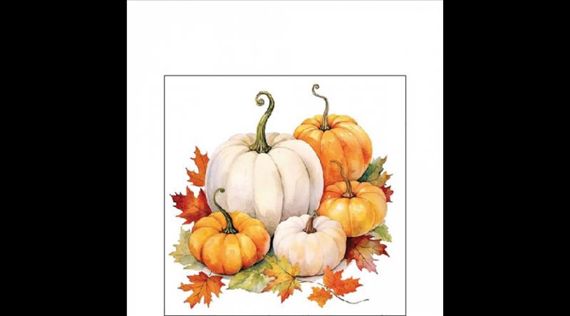 AMB.12518815 Pumpkin season papírszalvéta 25x25cm, 20db-os