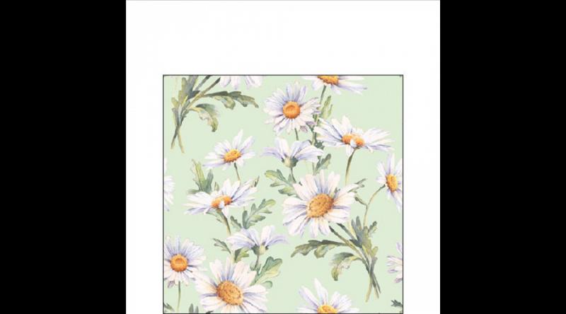 AMB.12519546 Beautiful daisies green papírszalvéta 25x25cm,20db-os
