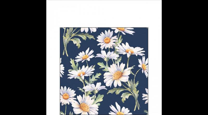 AMB.12519547 Beautiful daisies blue papírszalvéta 25x25cm,20db-os